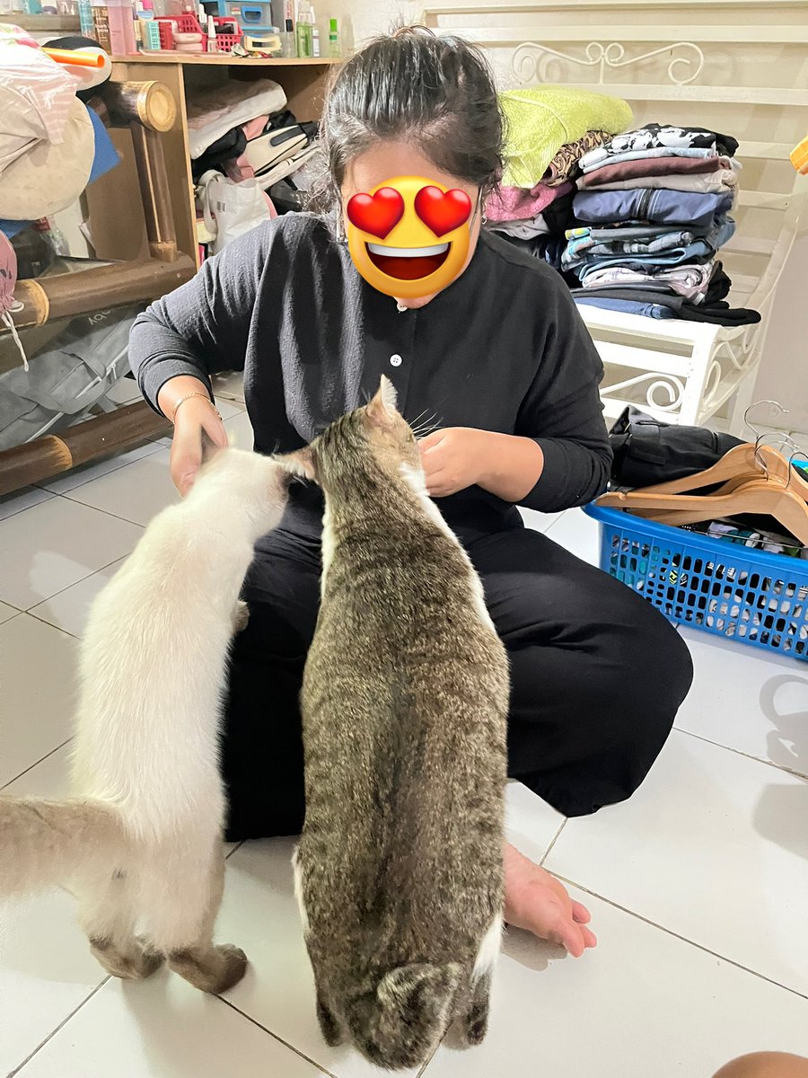 pulang pulang diserbu lagiii😩