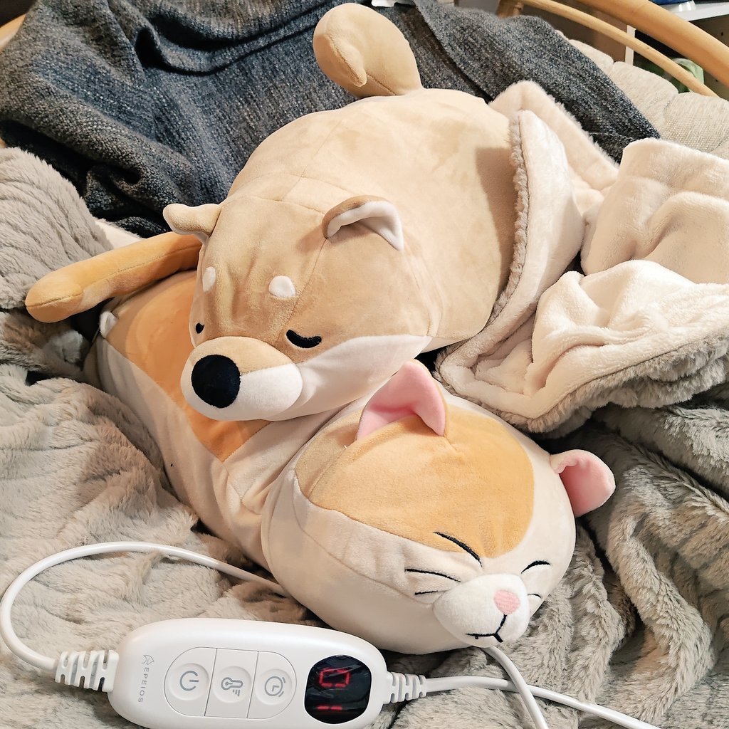 くまごろう (@kuma_goroh) / Posts / X