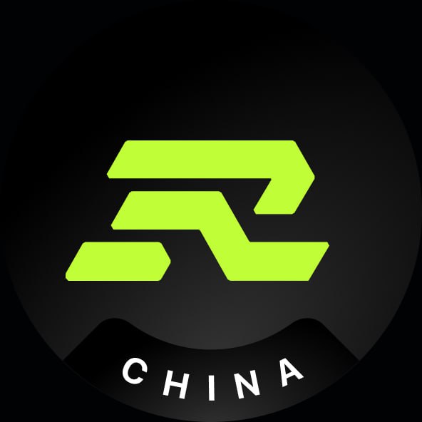 Raiku 中文🐉 tweet media