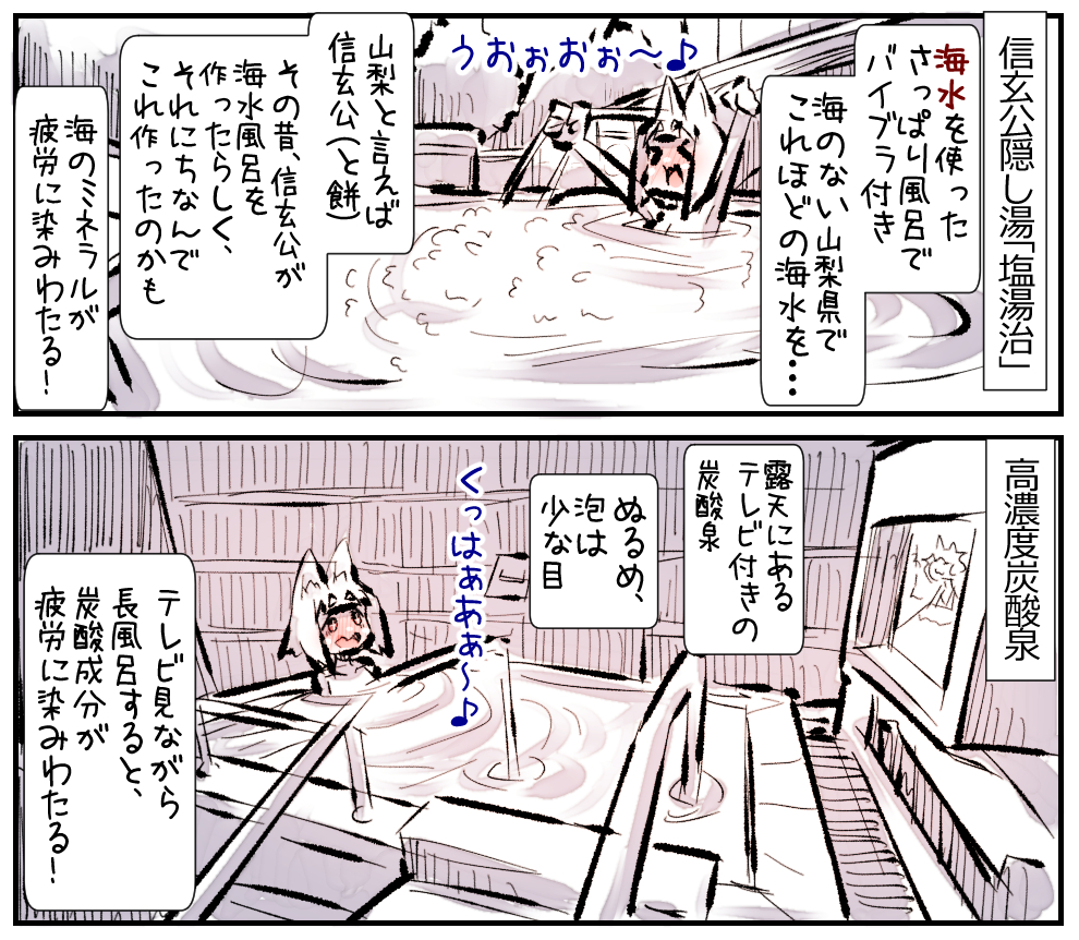 富士山の後はもちろん石和健康ランド! ②
風呂盛りだくさん編!
#サウナ 