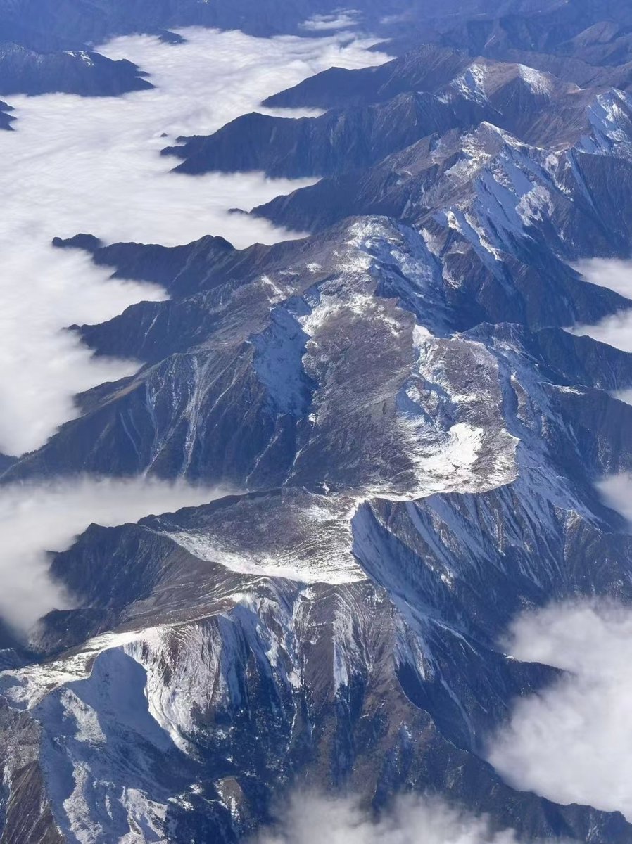 不会飞的猫（互fo） tweet media