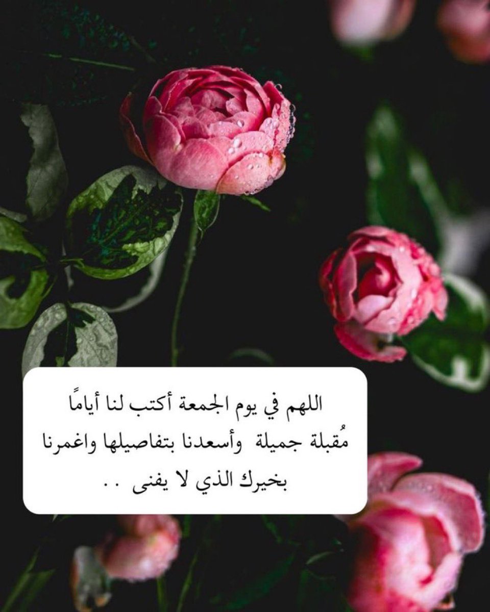 L7N956's tweet photo. ﴿إِنَّ اللَّهَ وَمَلَائِكَتَهُ يُصَلُّونَ عَلَى النَّبِيِّ يَا أَيُّهَا الَّـذِينَ آَمَنُـوا صَلُّـوا عـَلَيْهِ وَسَلِّمُوا تَسْلِيمًا﴾

- اللَّهُــمَّ صـَلِّ وَسَـــلِّمْ علـى نَبِيِّنَـــا مُحمَّد 🤍. https://t.co/e78kvBDf9Q