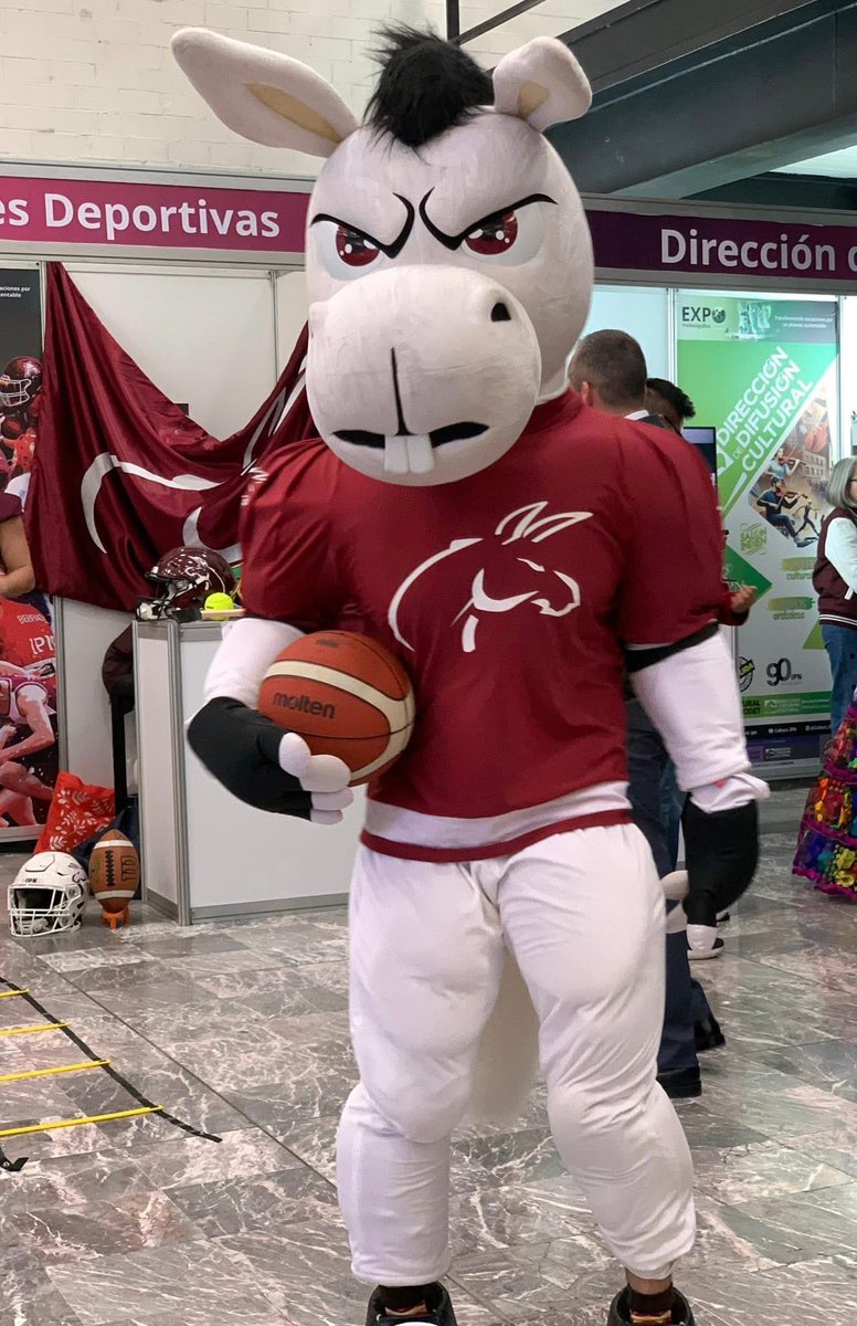 Mundo del Ovoide tweet media