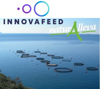 FisbySeafoodMedia tweet media