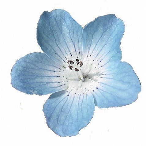 cygnuus_'s tweet image. 𝙹𝚞𝚗𝚝𝚊𝚗𝚍𝚘 𝚝𝚑𝚛𝚎𝚊𝚍𝚜 𝚍𝚎 𝚜𝚙 𝚙𝚊𝚛𝚊 𝚏𝚊𝚌𝚒𝚕𝚒𝚝𝚊𝚛 𝚊 𝚜𝚞𝚊 𝚟𝚒𝚍𝚊!  #𝚕𝚘𝚊𝚝𝚠𝚝