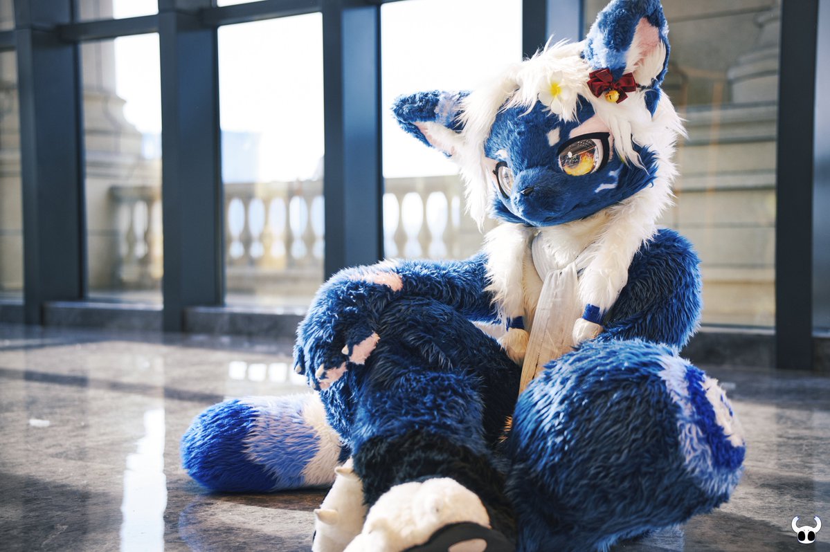 🐈‍⬛蓝胖子芝麻 • Sesame🐈‍⬛ tweet media