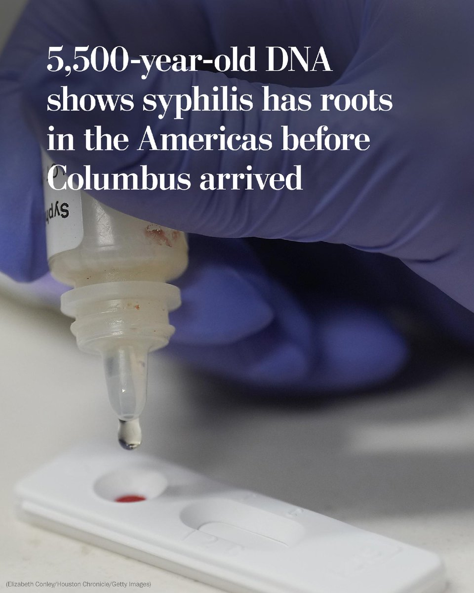 Ancient Dna Unveils Syphilis Origins in Americas