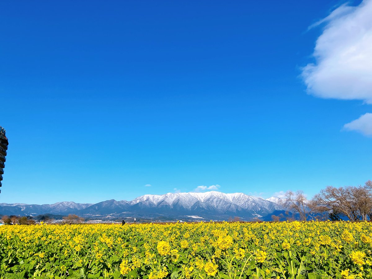 q_g3m's tweet photo. いい天気すぎる🌼*･ https://t.co/3R4b4Cd5Ta
