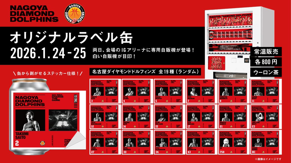 🌟情報解禁🌟 2025-26シーズン「名古屋ダイヤモンドドルフィンズ」の