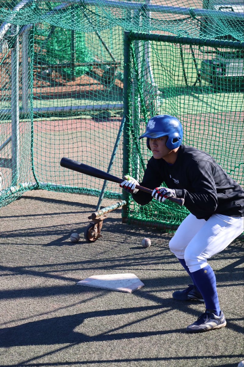 日本体育大学野球部グランドコート 日体大 野球部 グラウンドコート