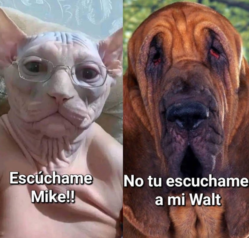 Vader Tercermundista (@vader91870633) on Twitter photo 