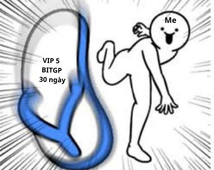 BITGP Vietnam tweet media