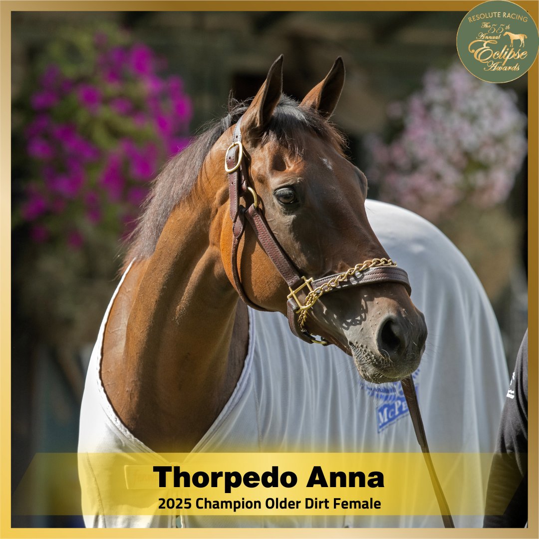 Daily Racing Form tweet media