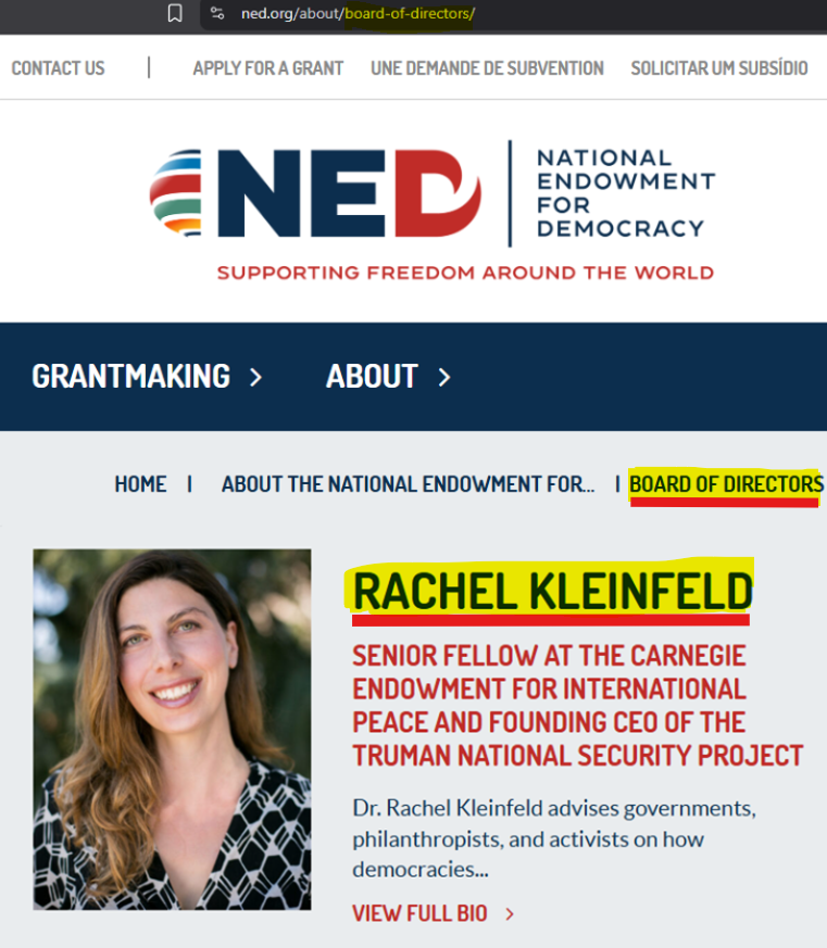 MikeBenzCyber's tweet image. Did you know that Rachel Kleinfeld -- who publicly led the charge to arrest Trump, mass arrest Trump supporters, bankrupt pro-Trump conservative news orgs with lawfare, and coerce social media to censor your speech -- is, right now, as we speak, on the board of directors at NED?