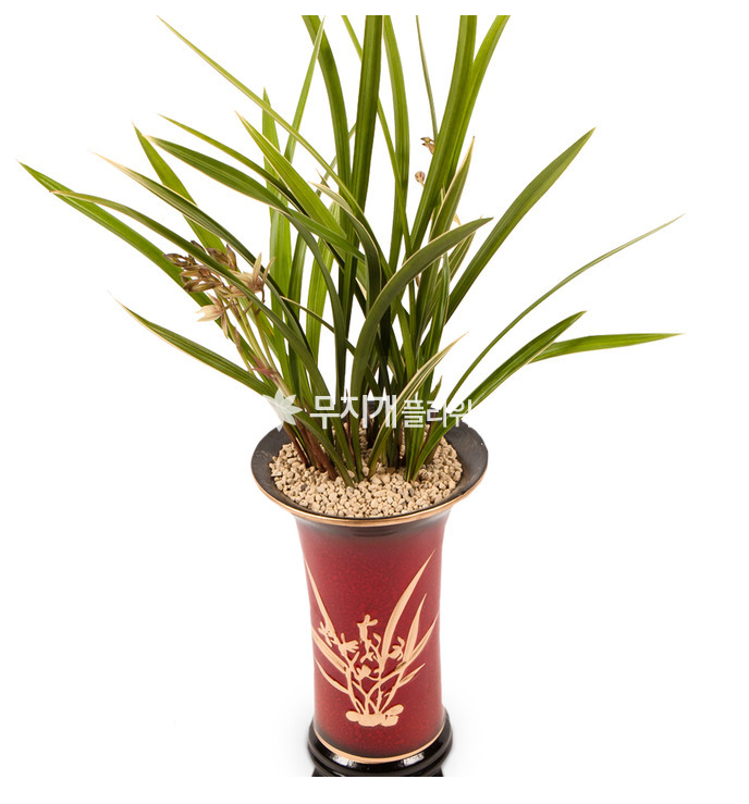 🌈 무지개플라워 🌈
💐 3단 화환 100,000원 → 59,000원 특가!

📞 문의 : 1688-0034

✔️ 결혼식 · 장례식 · 이전 · 개업 · 승진 · 취임
✔️ 3단화환 / 화분 / 꽃다발 / 동·서양란
✔️ 배송시간 지정 &amp; 무료배송 
✔️ 세금계산서 발행 가능 / 기업체 월말결제 

👉 홈페이지 : 16880034.co.kr