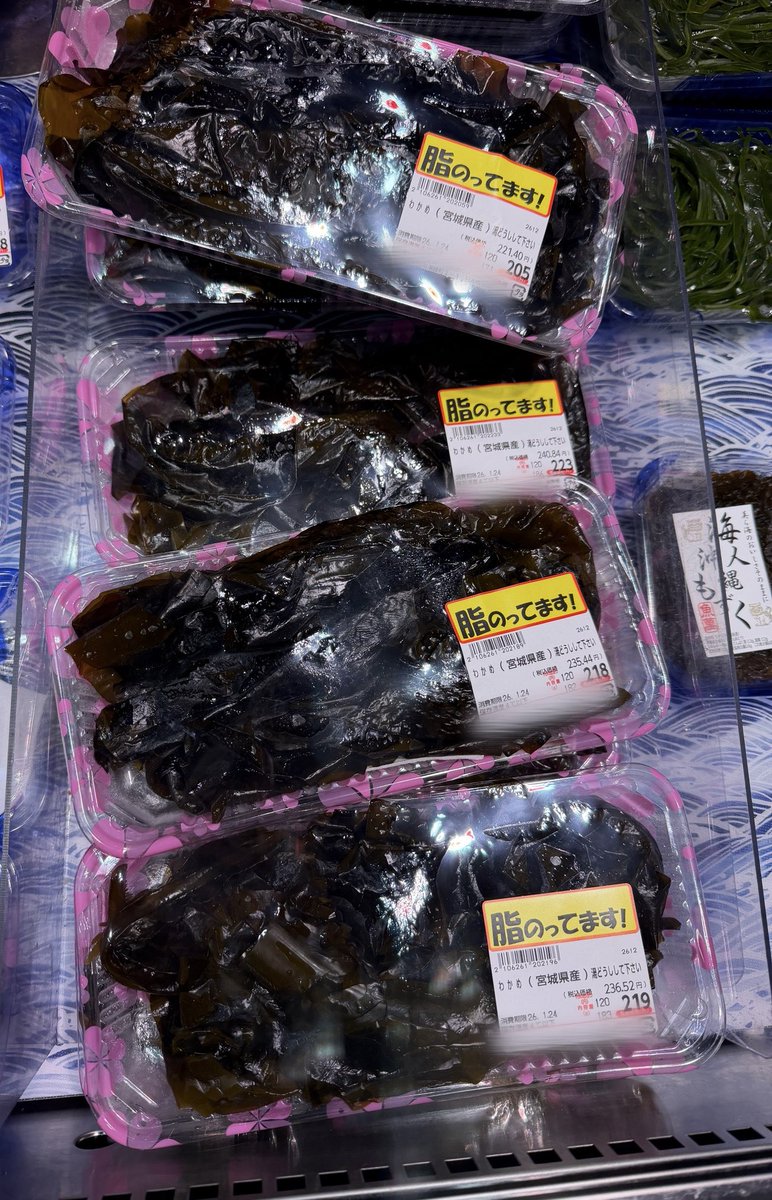 にゃこたのスケ19号 (@nyakotanosuke19) / Posts / X