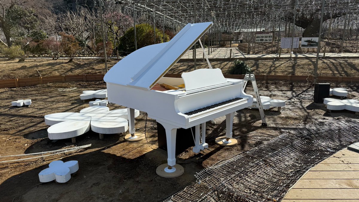 いつも『fine』を心より応援してくださっている皆さまへ、
特別なお知らせをお届けいたします。
本日17時より、
あしかがフラワーパーク内『四季彩のステージ』にて。
『fine』が感謝を込めてお送りするカルテット・レッジェーロが開幕いたします。