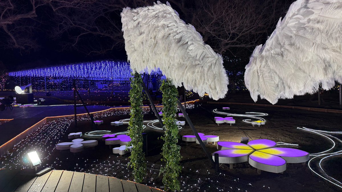 伏見弓弦 投稿コメント