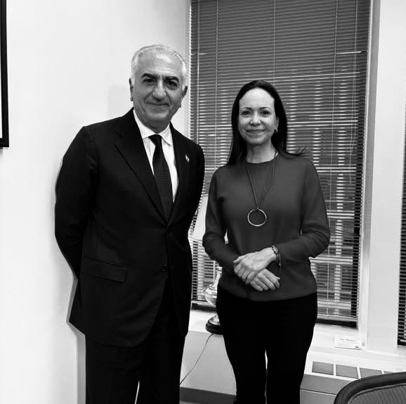 Vasallos descartables de un imperio criminal y decadente.
Aplaudidos por los enemigos de sus pueblos.
Traidores a sus patrias.
Solicitantes de  bombardeos a sus países. 
Aves de rapiña que vuelan sobre escombros.
La historia les tiene reservado un basurero especial.