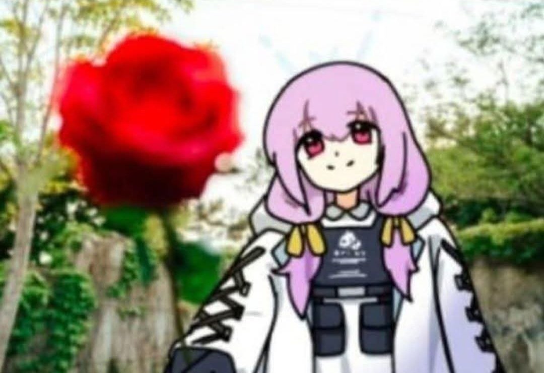 🌸 Pekovi 🌸 tweet media