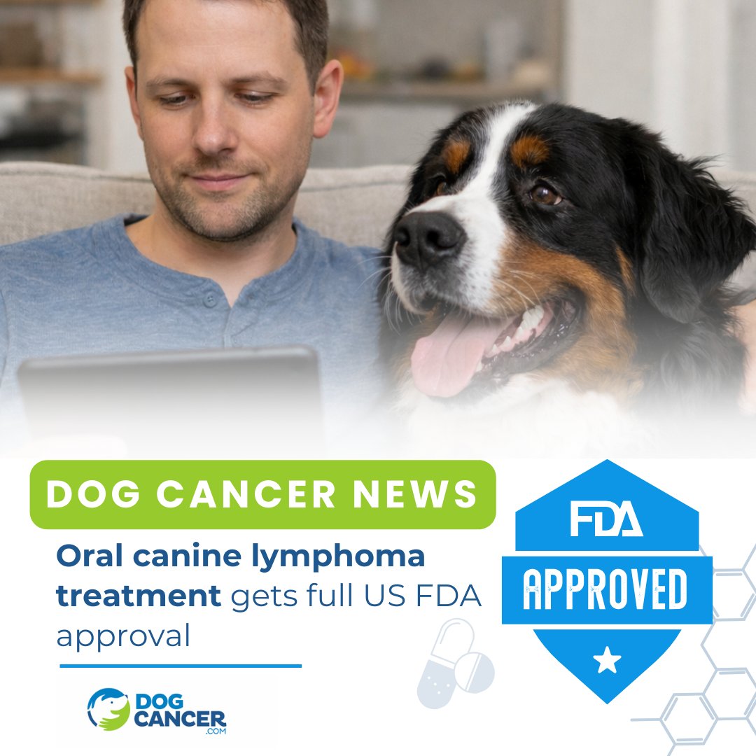Dog Cancer Help tweet media