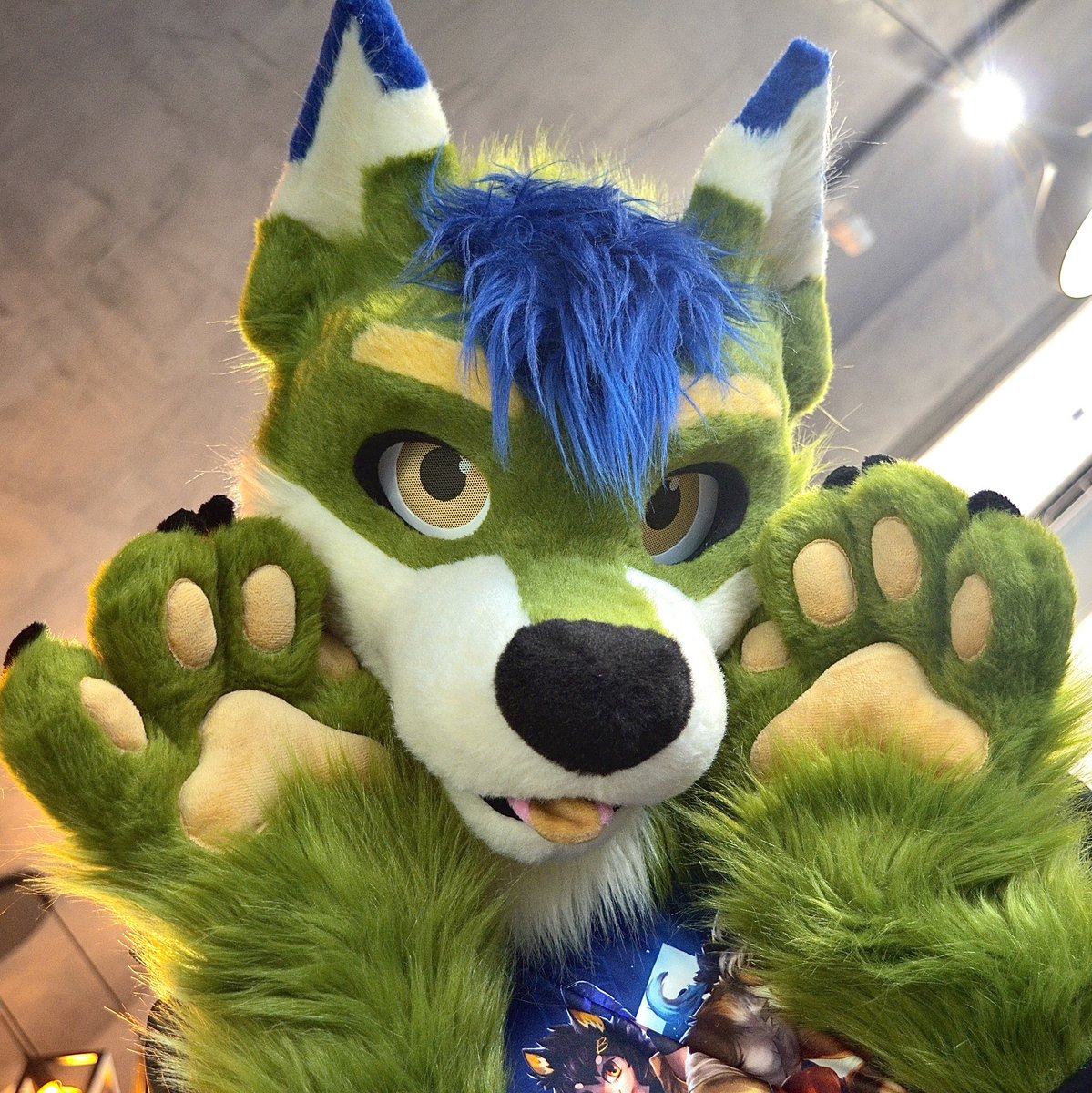 Wufuzz ➡️ ThaiTails 🇹🇭 tweet media