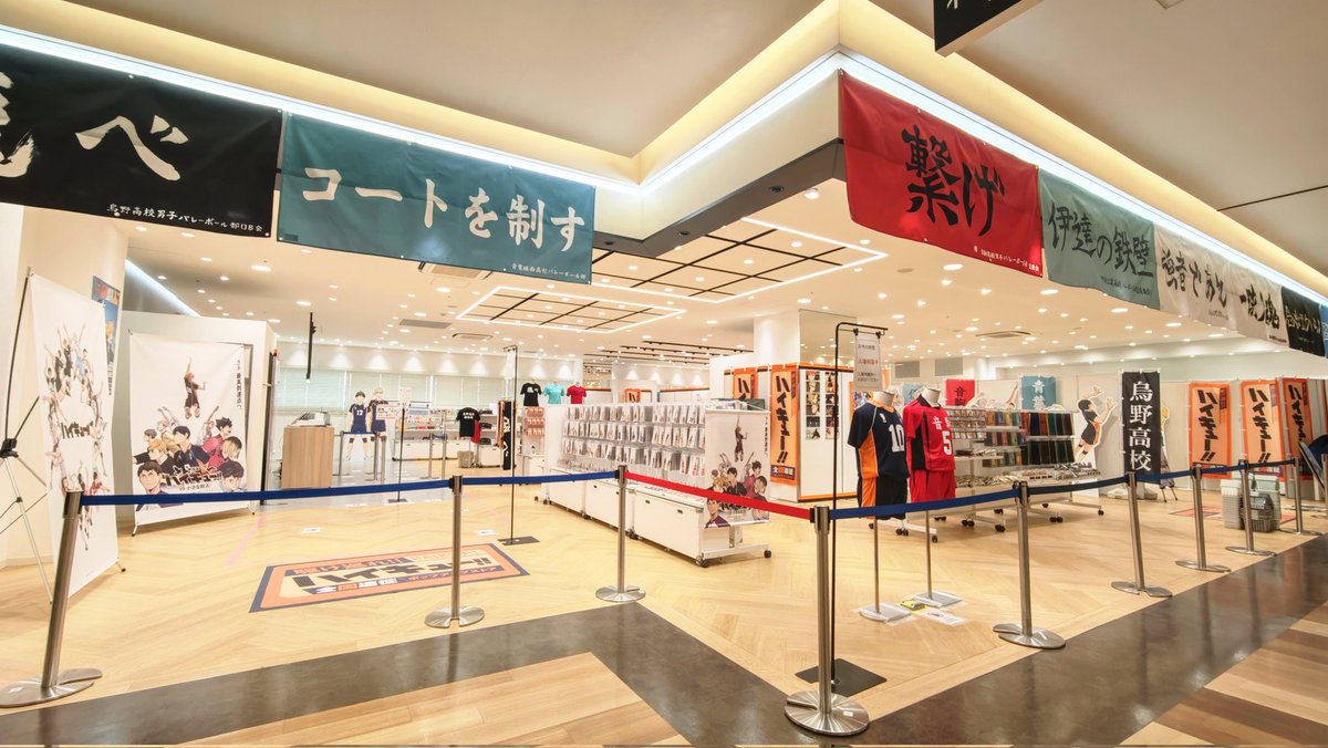 haikyu_ensei's tweet photo. 【熊本会場】
#ハイキュー!! 全国遠征ポップアップストア

熊本会場は本日1月23日(金)よりオープン!!📢

ぜひ会場までお越しください‼︎🚌

6階にもスタンディー設置がございます

🏐アミュプラザくまもと（熊本県）
     5階 特設会場
     26年1月23日〜2月1日
https://t.co/2hrmNNopZW https://t.co/GbWnIQZZPy