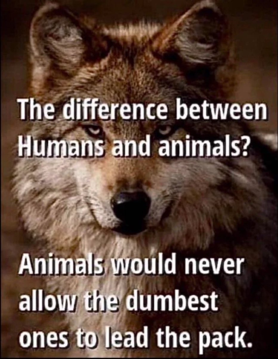 TruthWins52's tweet photo. @SoldiersWhisper https://t.co/o73vW9TgEw