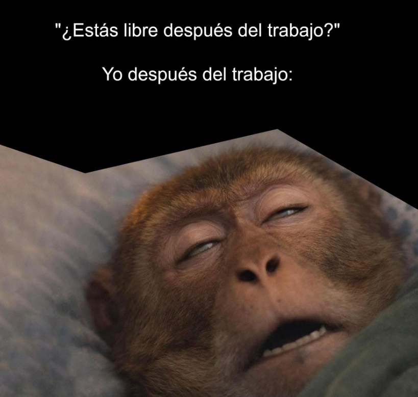 BANDIDOS (@bandidosfrasess) on Twitter photo 