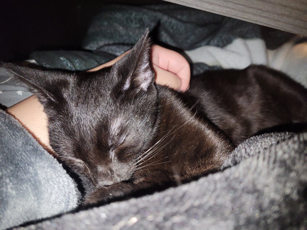 Sin⭐Starving Artist⭐ tweet media