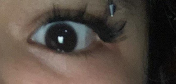 koko🧊 tweet media