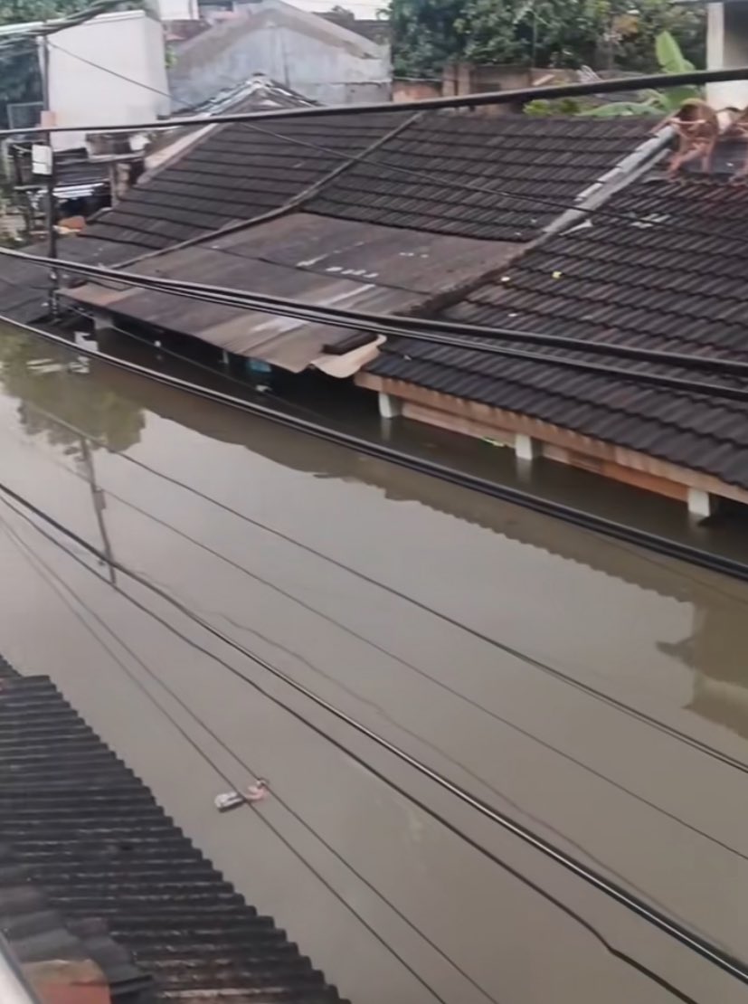 txtdaritng's tweet image. #InfoBanjirTNG

Kondisi banjir di Periuk Damai pagi ini sudah hampir menyentuh atap rumah warga. 

YA ALLAH SEDIH BANGET LIATNYA 😭