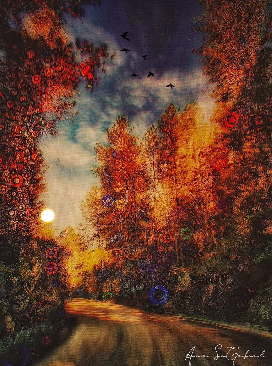 AnnieSage's tweet image. Goodnight from Colorado. 
Occasionally I post one of my photos or art pics.
This is my art:
Blurred Lines.
01/22/26
(ACS)  
#ArtIsLife
#Art
#CreativeExpression 
*These are my photos, videos or art pieces &amp;amp; not Ai.*