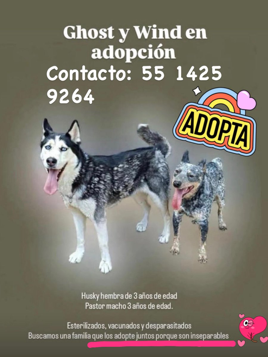 Me piden compartir: ojalá encuentren familia linda. Los ayudamos? Gracias