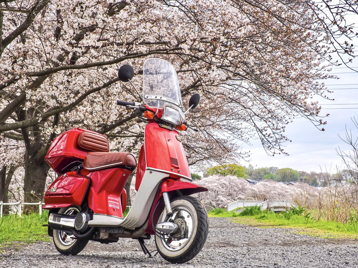 コージ (@NakedKouji) / Posts / X