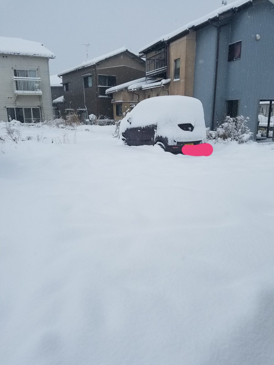 ꧁ティラミス꧂ tweet media