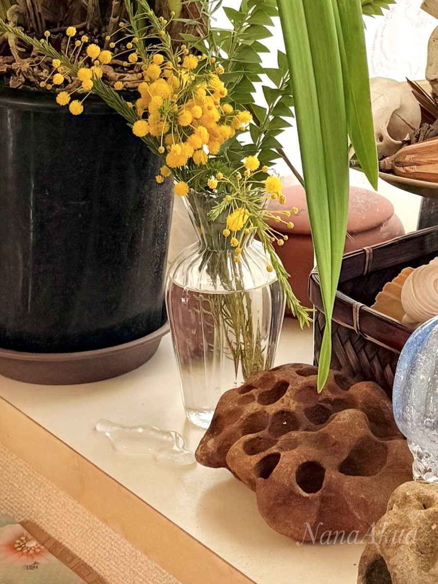 鉢と花瓶の手前、水が溢れているように見えるかもですが…

これはガラス工芸です

武蔵美の学祭で買いました