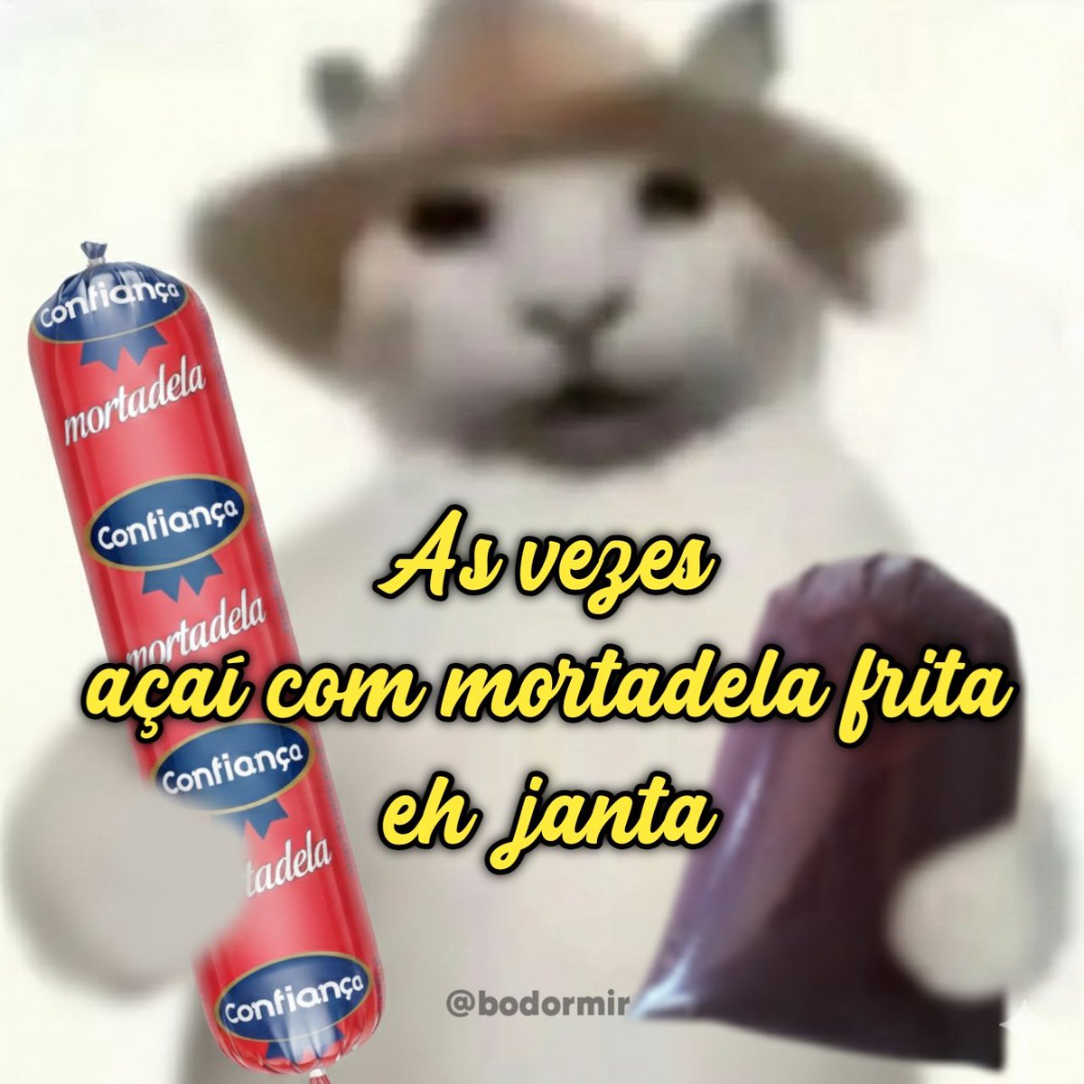 as vezes, dois kikães is janta💤 tweet media