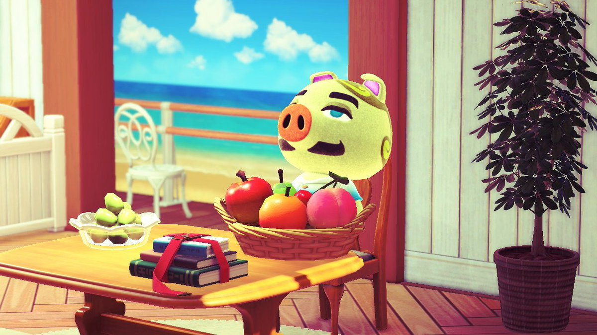 Tk2Gr's tweet photo. 来ると思ってたトンファン。
#トンファン #どうぶつの森 #AnimalCrossing #ACNH #NintendoSwitch https://t.co/Ww3lmiFRkc