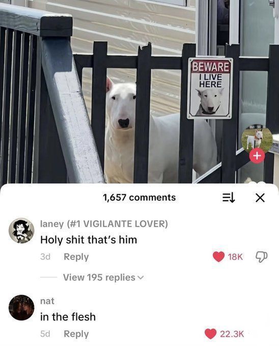 memechaotic's tweet image. Aura.