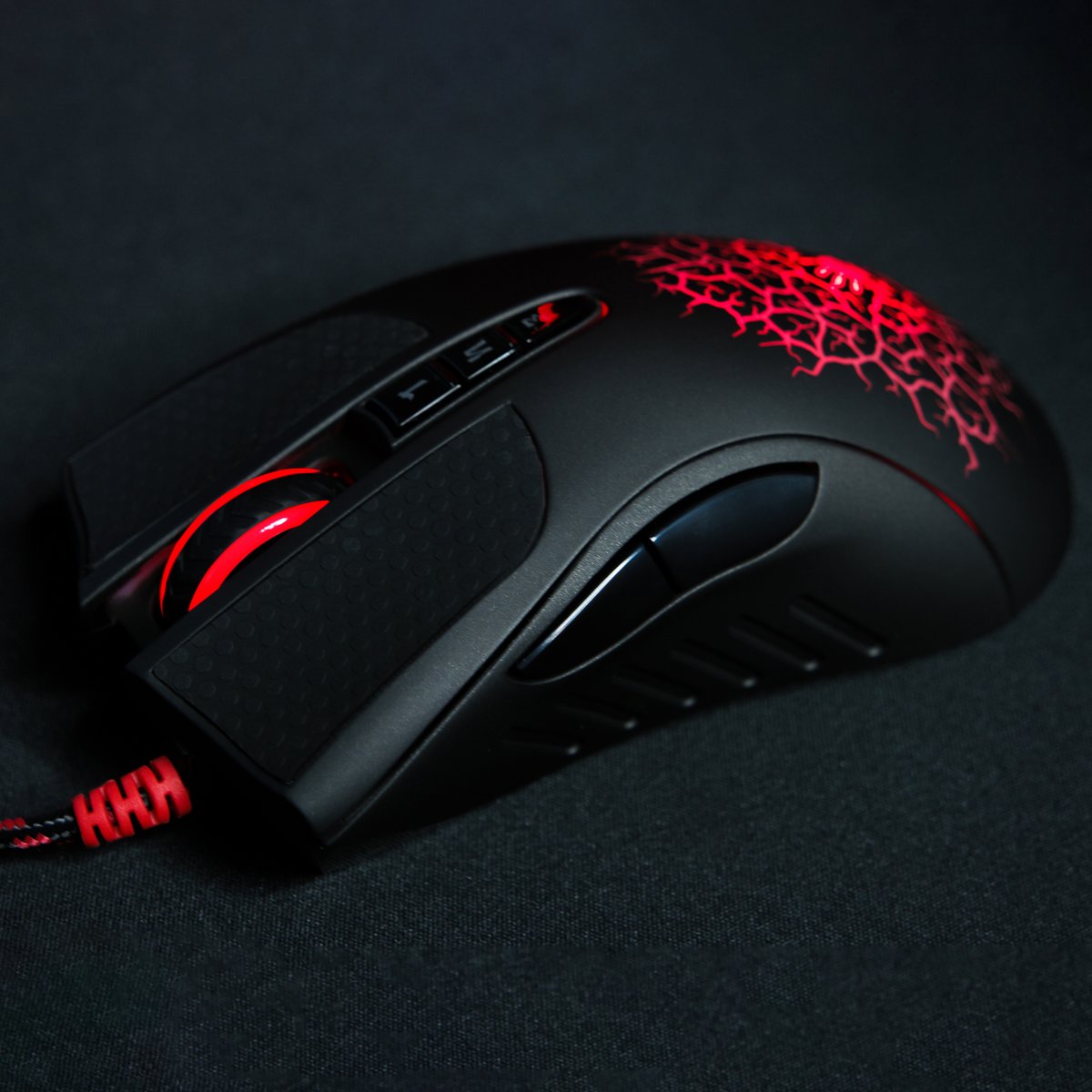 Bloody Gaming tweet media