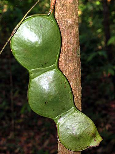 MYNEWSHUB tweet media