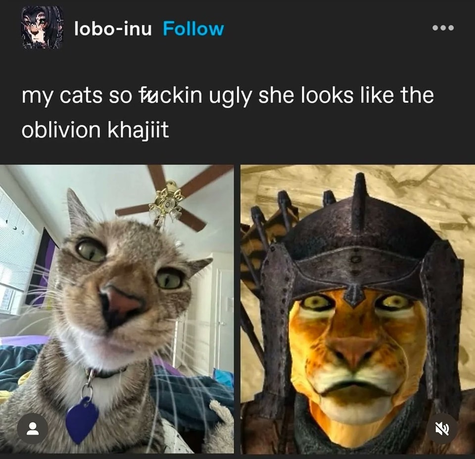 ShitpostGate's tweet image. 