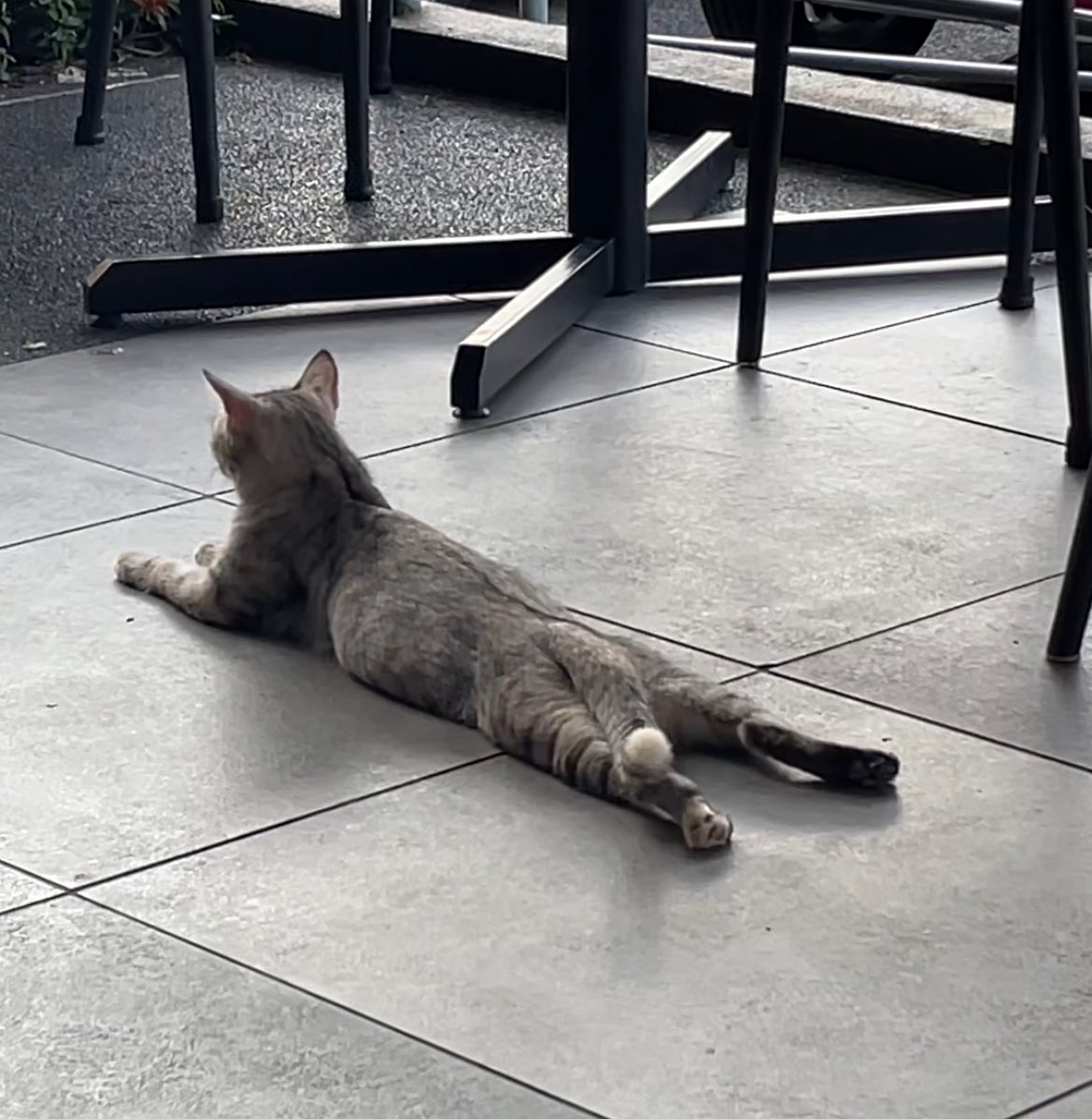 Azam Razak 🏴‍☠️ tweet media