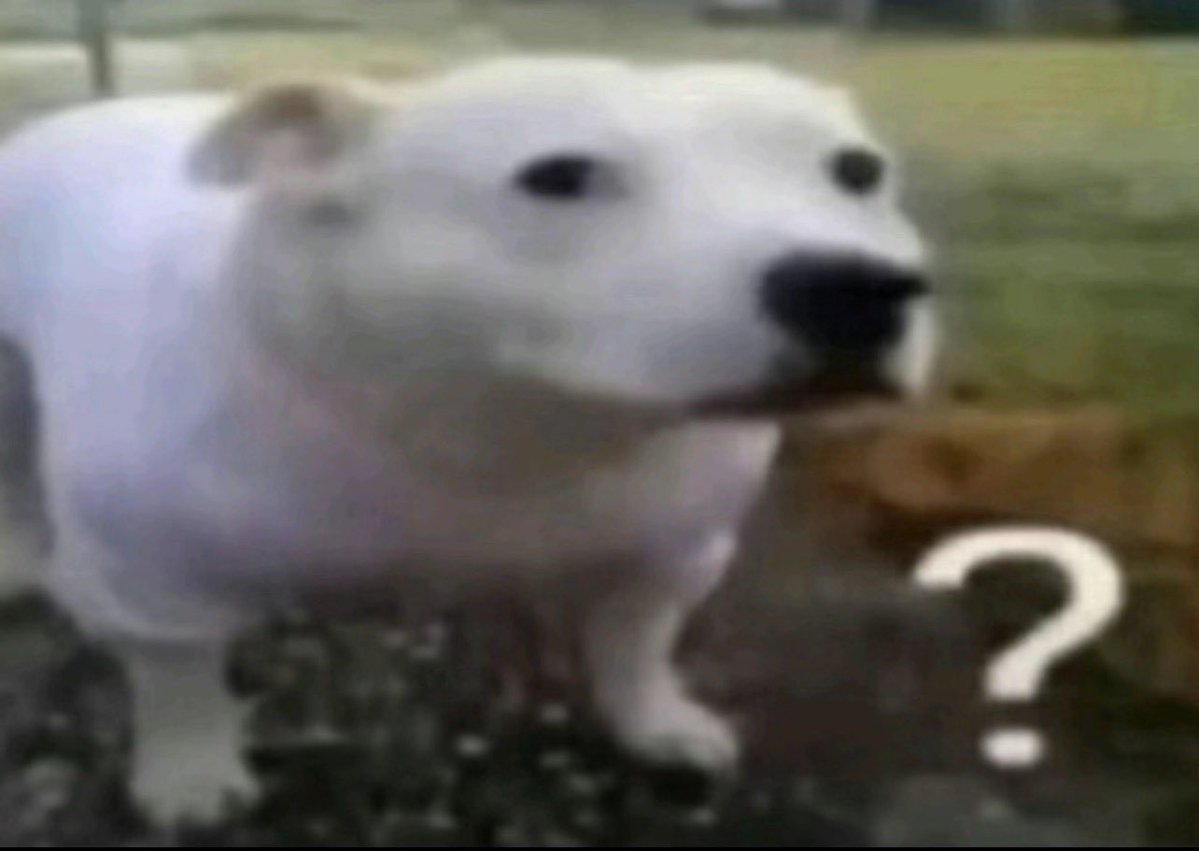 willcbarr's tweet image. are we fr rn