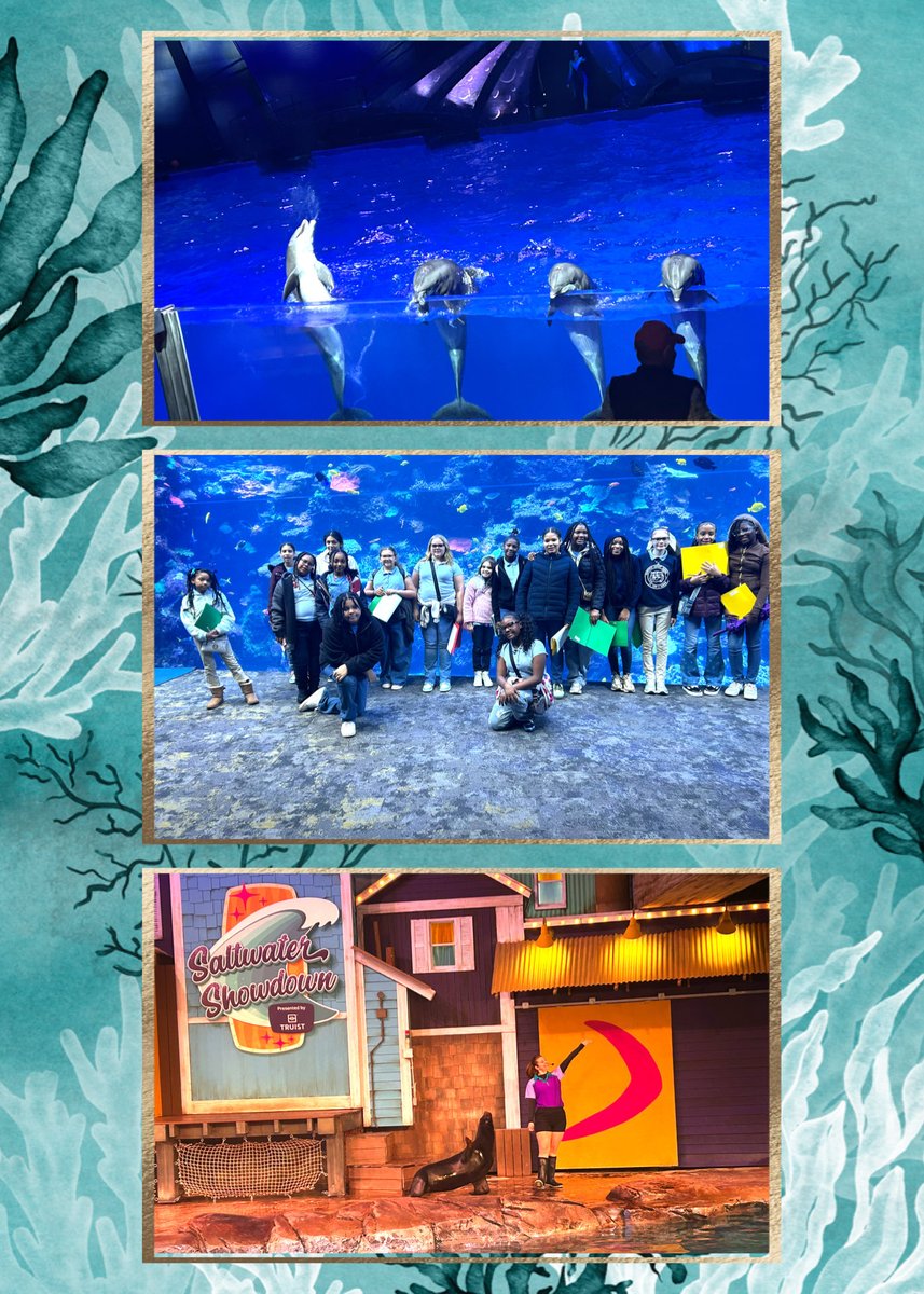 Fairfield Magnet Sch tweet media