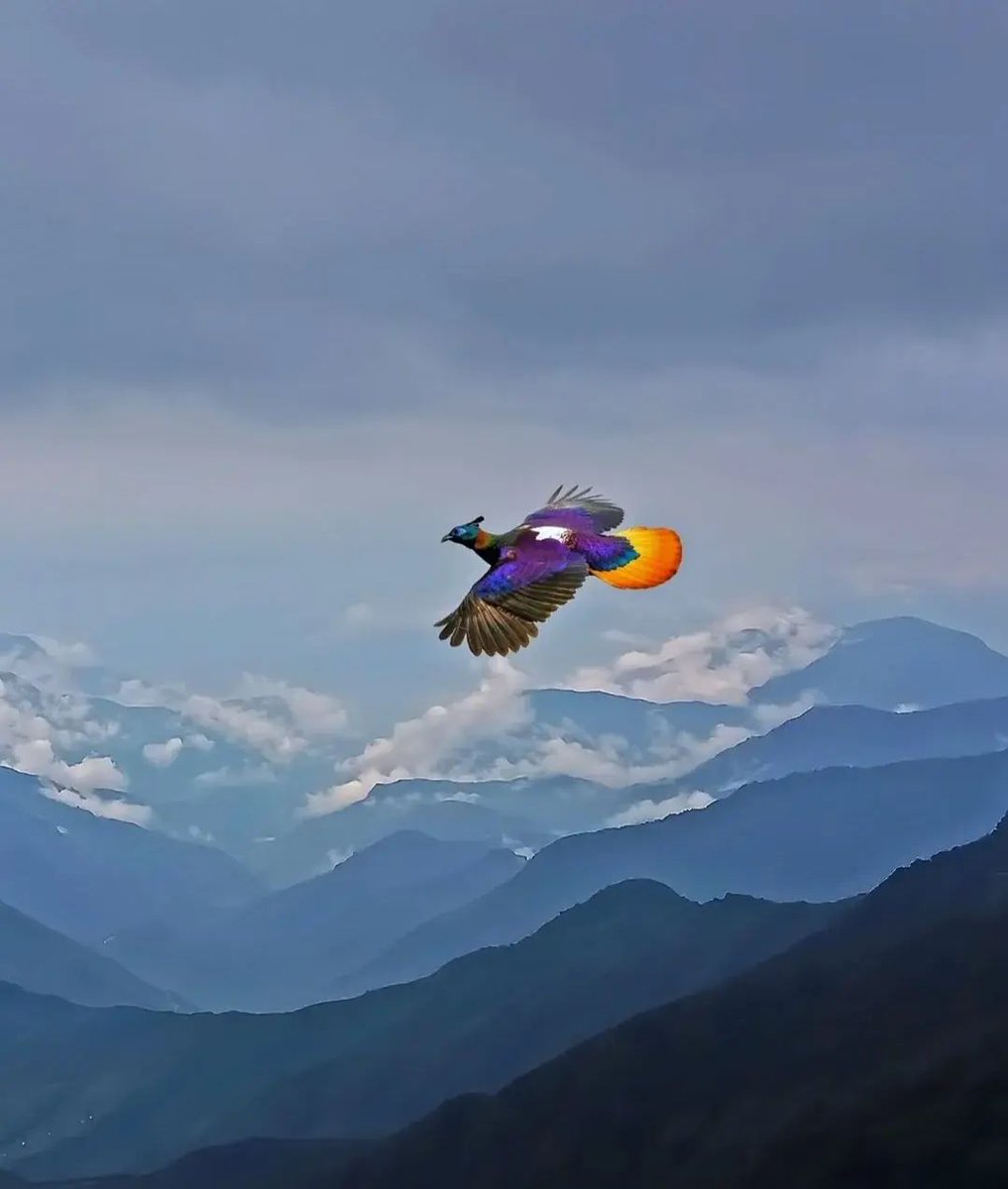 Nature is Amazing ☘️ tweet media