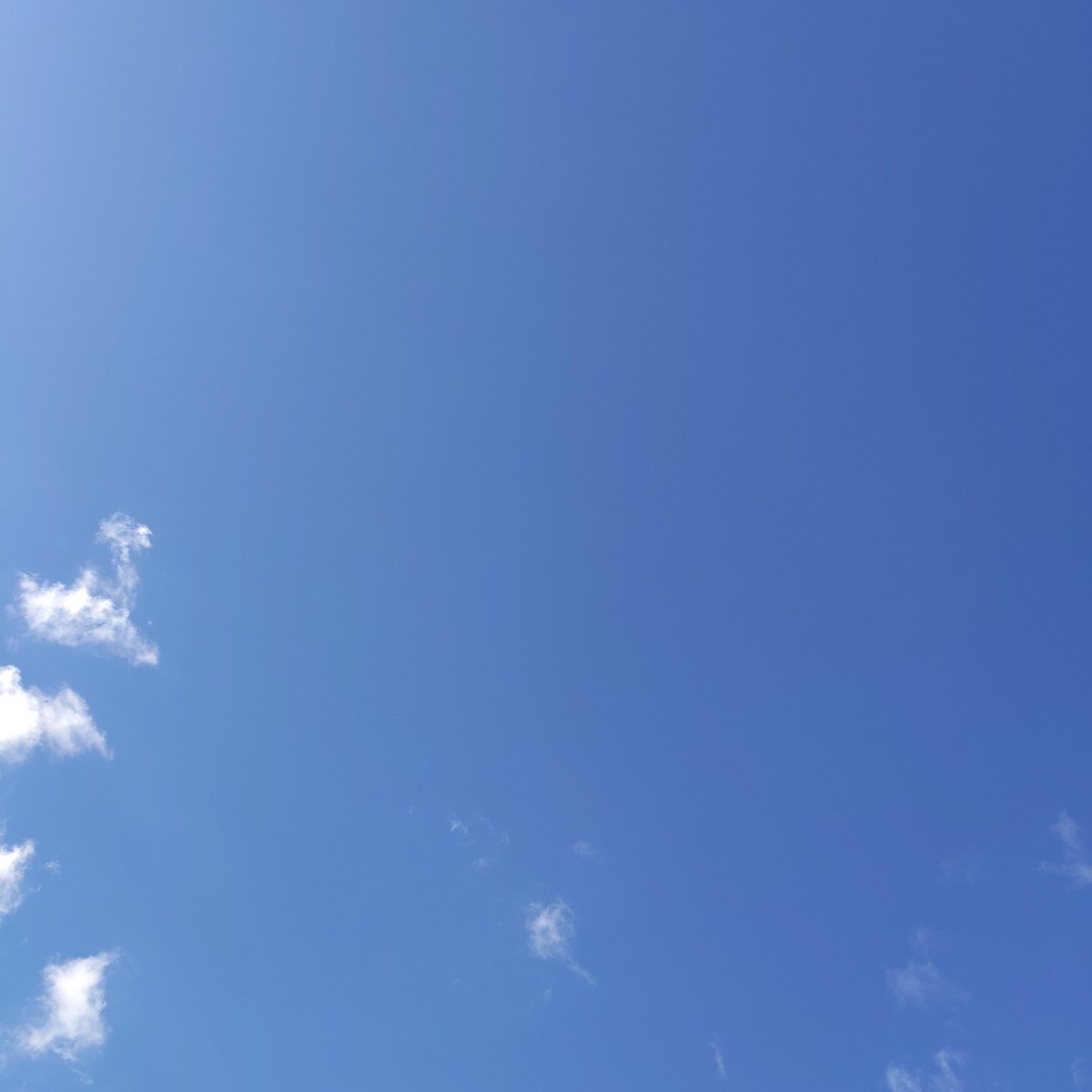 ケシンプタ💉23回目終了🏥
主治医に異動あるか聞くの忘れた(笑)