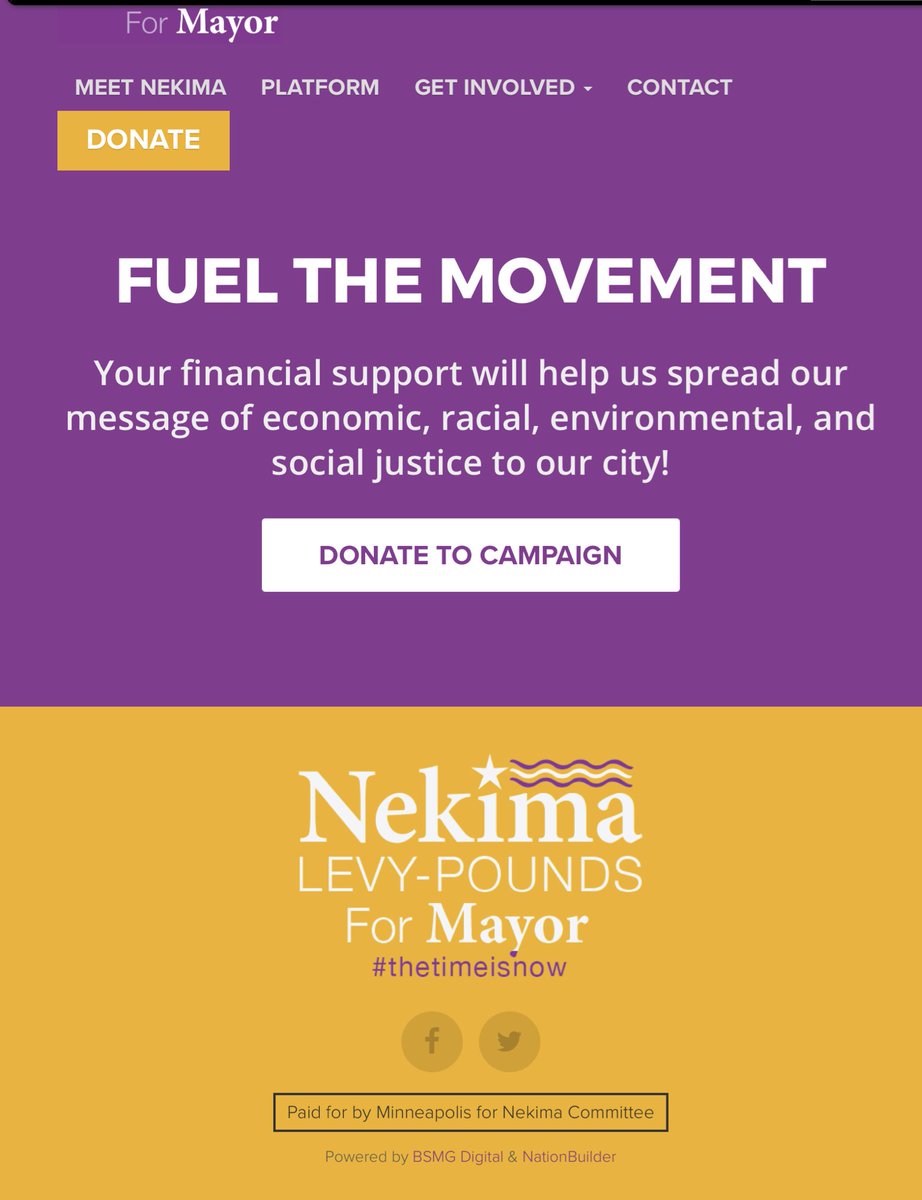 JamesHartline's tweet image. One of those goons actually ran for mayor of Minneapolis in 2017. She's a racist grifting BLM instigator. Her real name is Nikema Levy-Pounds, but she changed her last name to Armstrong. Her X account was suspended.