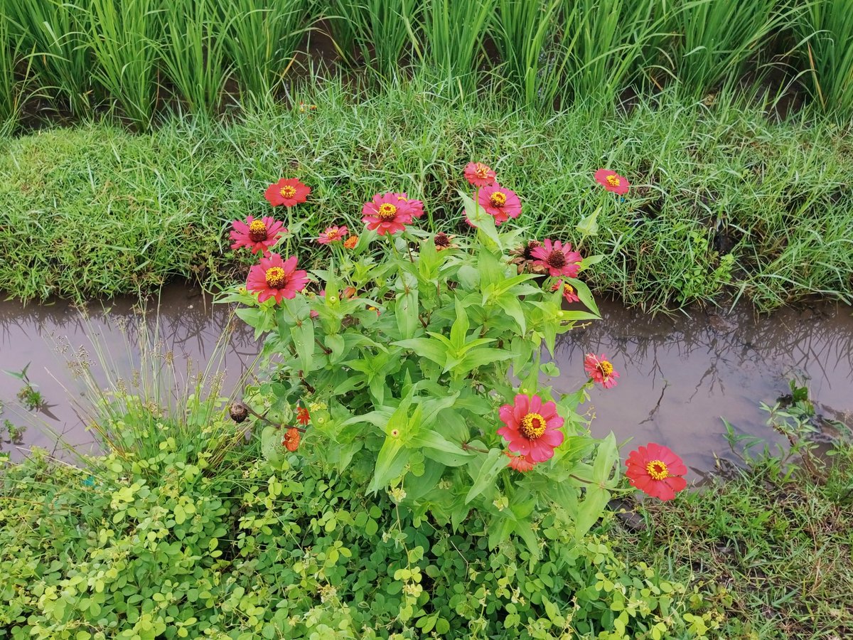 somewhere you’ll find me trapped in my own world ☁️❇️🌺🍵